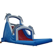 used inflatable slides dolphin